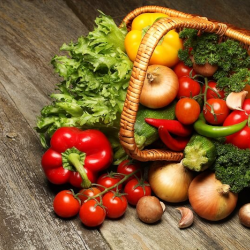 Alimentation